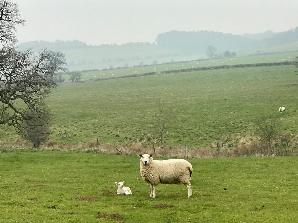 Cheese, Glorious Cotswolds Local Cheese! (2023)